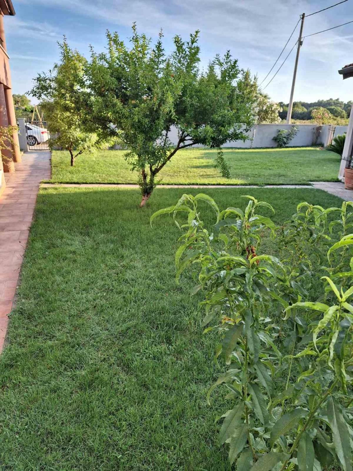 Apartments Ines Пула Экстерьер фото